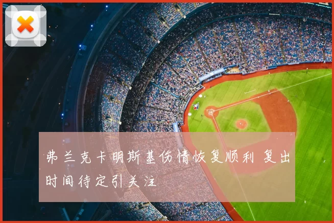 弗兰克卡明斯基伤情恢复顺利 复出时间待定引关注