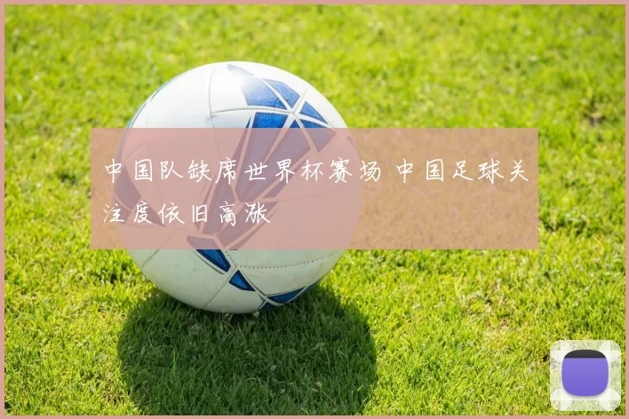 中国队缺席世界杯赛场 中国足球关注度依旧高涨