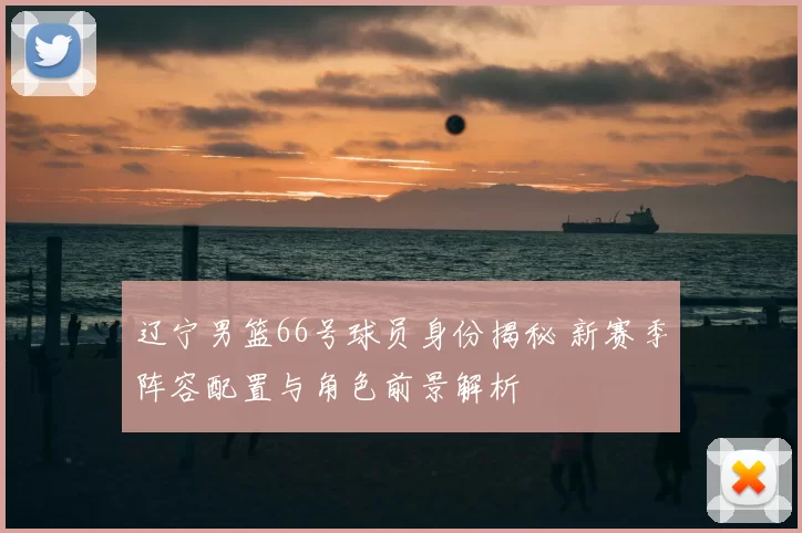 辽宁男篮66号球员身份揭秘 新赛季阵容配置与角色前景解析