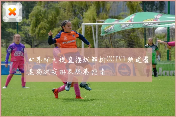 世界杯电视直播权解析CCTV1频道覆盖场次安排及观赛指南