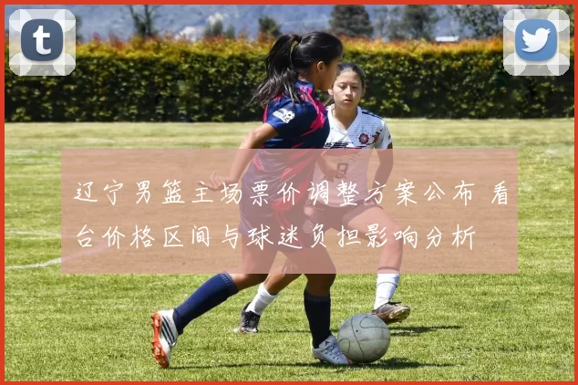 辽宁男篮主场票价调整方案公布 看台价格区间与球迷负担影响分析